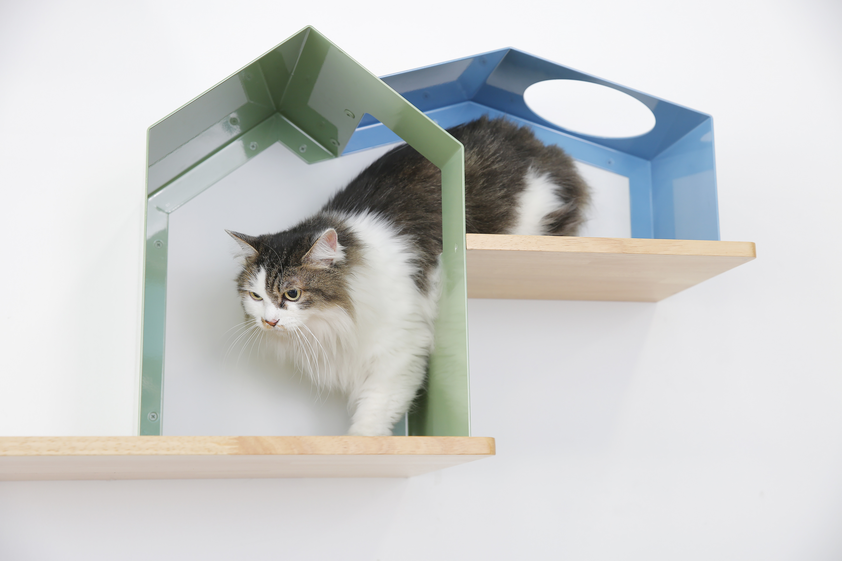 キャットシェルフ【既製品】